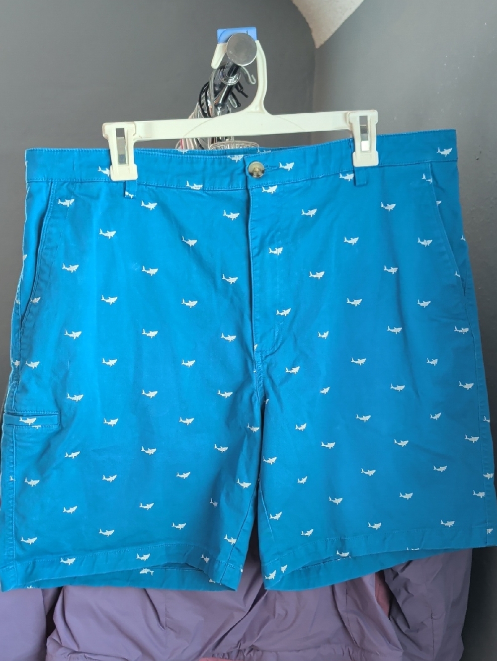 BOCA Classics Bright Turquoise Casual Shorts with White Shark Accent